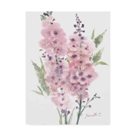 Marietta Cohen Art And Design 'Flower Series 4' Canvas Art,35x47